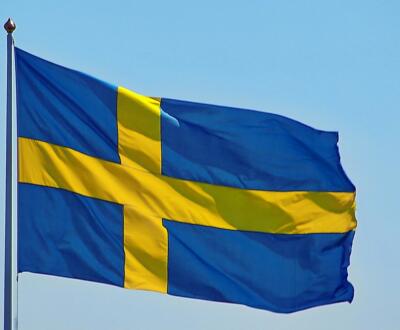 Swedish SEO & Content Editor